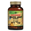 עלי זית