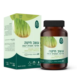 עשב חיטה