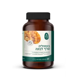 בוסווליה - צנצנת